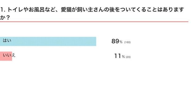 トイレやお風呂など、愛猫が飼い主さんのあとをついてくることはある？