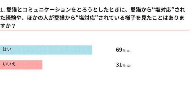 猫から“塩対応”されたことはある？