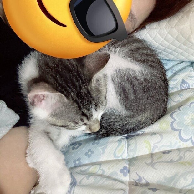 お迎え当時のらいくん