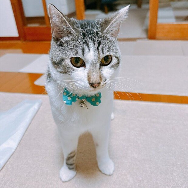 生後9カ月のころのらいくん