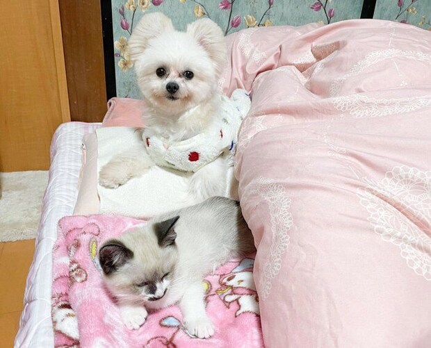 ちーちゃんとこっとちゃん