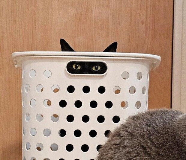 ミトンちゃんとチックくん