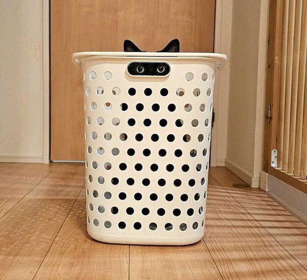 カゴの中に入るタックくん