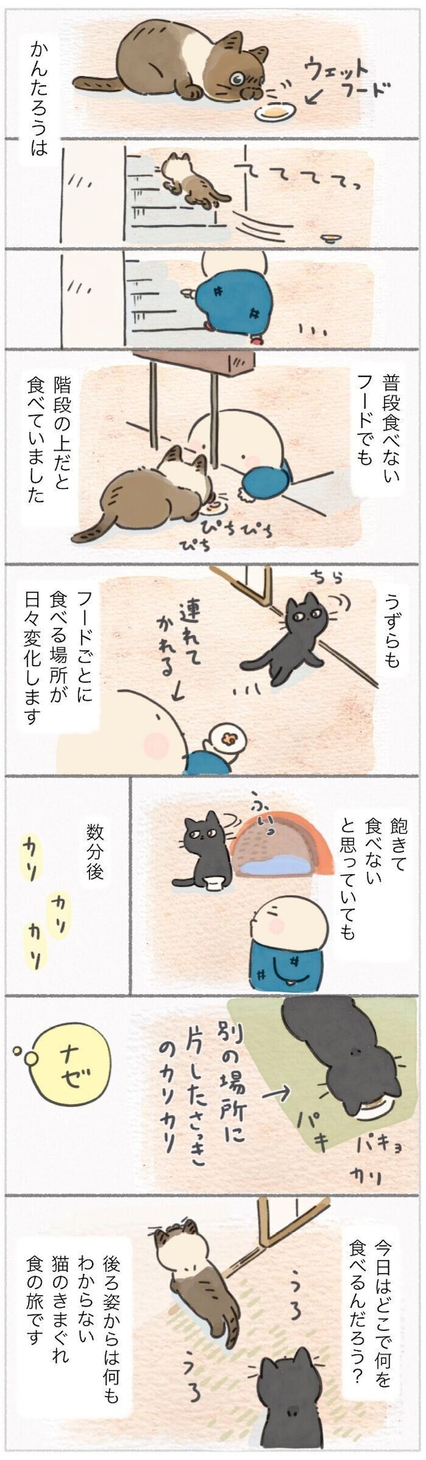 「ねこ連れ草」355話め