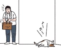 スマホ捜しに猫は非協力的【男の猫道】vol.147