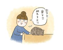 「懐いた証拠」を主張した飼い主、即論破される【連載】交通事故にあった猫を拾いました#256