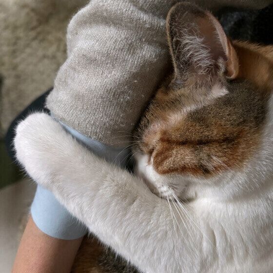 MIX ミケ あまえんぼ