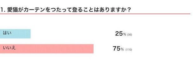 愛猫がカーテンをつたって登ることはある？