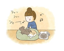ブラッシング中に、ふと考えてしまったこと【連載】交通事故にあった猫を拾いました#258