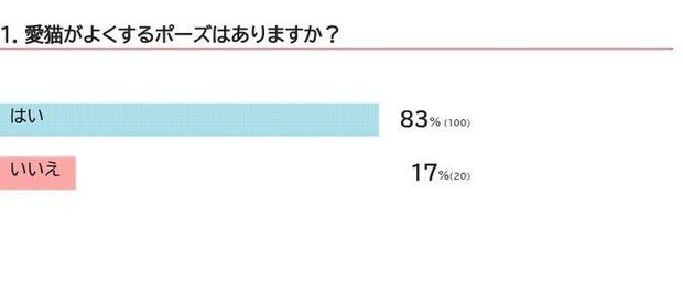 愛猫がよくするポーズは？