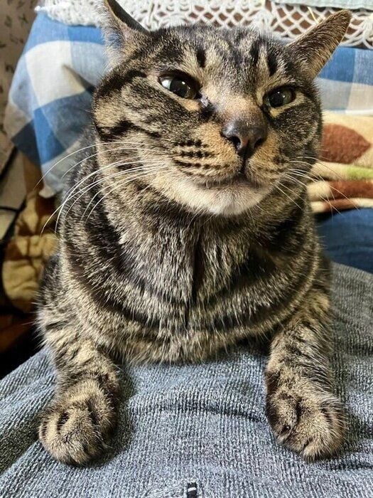 立派に成長した渚ちゃん