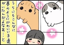お休みの間も、心は猫と一緒でした【連載】もふもふスコたん#364