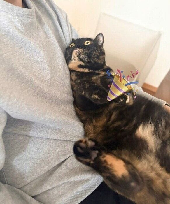 6才になっためいちゃん