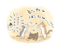 万事休す…と思ったら、猫たちが立ち上がった【連載】交通事故にあった猫を拾いました#260