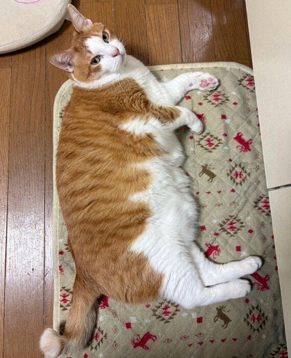 8才になったふうたくん