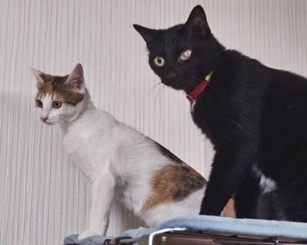 ふたちゃんとの2ショット
