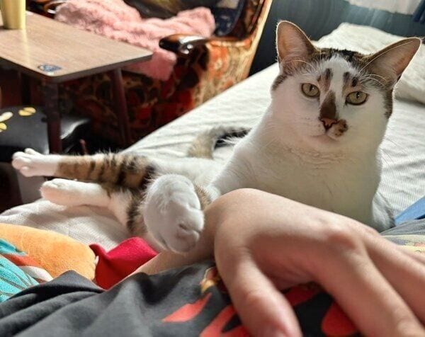 飼い主さんの手を掴むブキくん