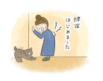 猫背の私と、完璧すぎる猫の曲線【連載】交通事故にあった猫を拾いました#262