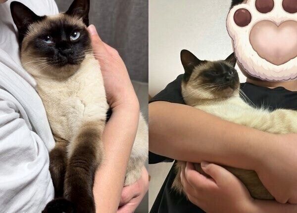 ママさんと息子さん
