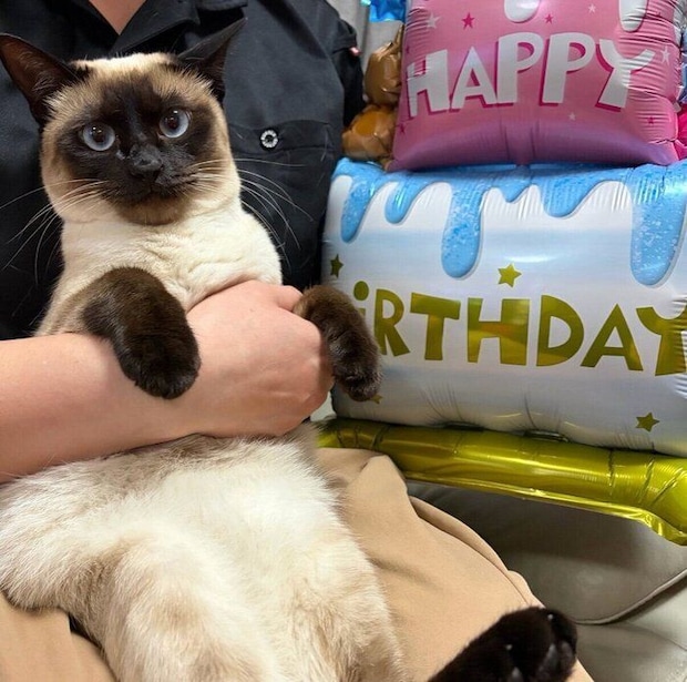 1才になったるるちゃん
