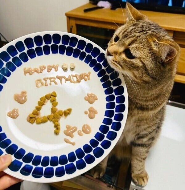 4才の誕生日を迎えたsellyくん