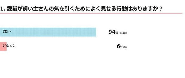 猫が気を引くためによく見せる行動はある?