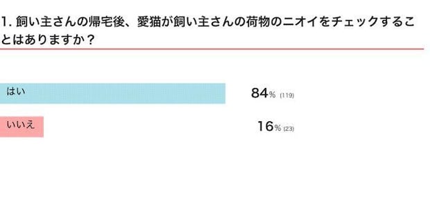 飼い主さんの帰宅後、愛猫が飼い主さんの荷物のニオイをチェックすることはある?