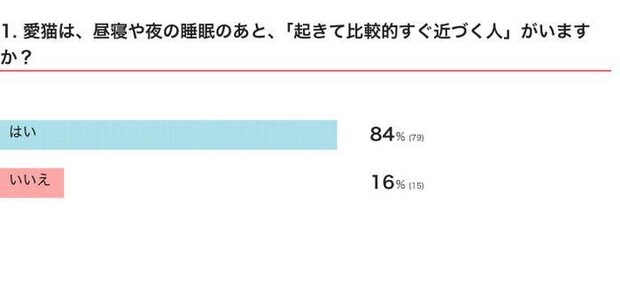 Q1 愛猫は、昼寝や夜の睡眠のあと、「起きて比較的すぐ近づく人」がいますか?
