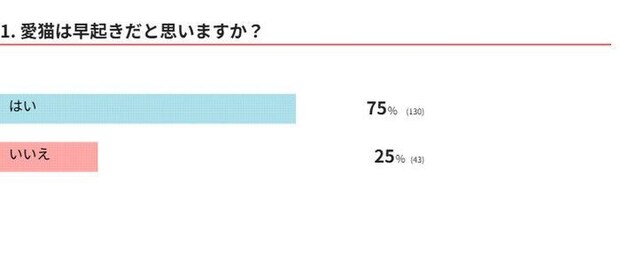 愛猫は早起き？何時に起きるの？