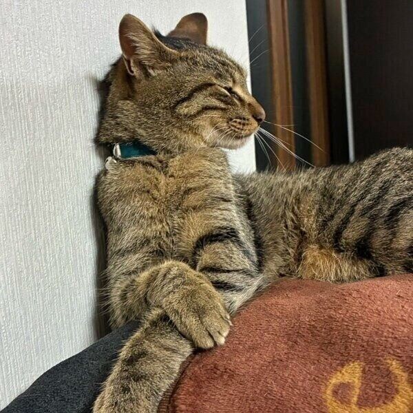 成長したムーくん