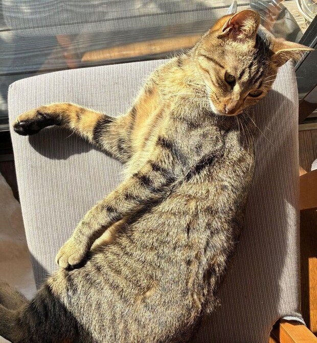 まったりするムーくん