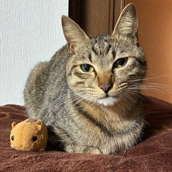 ぬいぐるみと2ショット