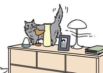 人は非障害物扱い【男の猫道】vol.149