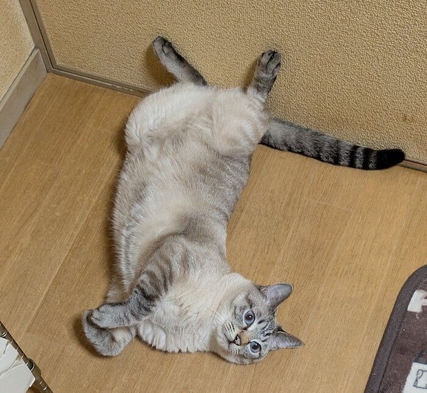 現在のひめちゃん
