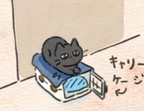 ぜんぶ同じじゃない。愛猫の“待機スタイル”事情【連載】ねこ連れ草 359話め