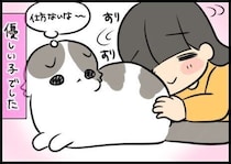 猫の触り心地に、こんな個性があるなんて【連載】もふもふスコたん#366