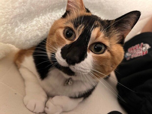 見つめるはなこちゃん