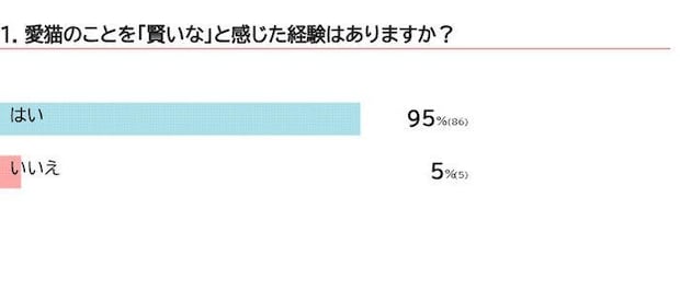 愛猫を賢いと感じた経験はありますか？