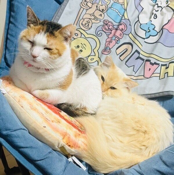ミルフィちゃんと珍しい2ショット