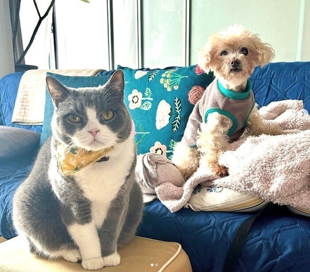 まるくん、一緒に暮らすひなちゃん