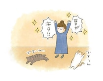 抱きつきたい。でも確実に嫌がられる夏【連載】交通事故にあった猫を拾いました#265