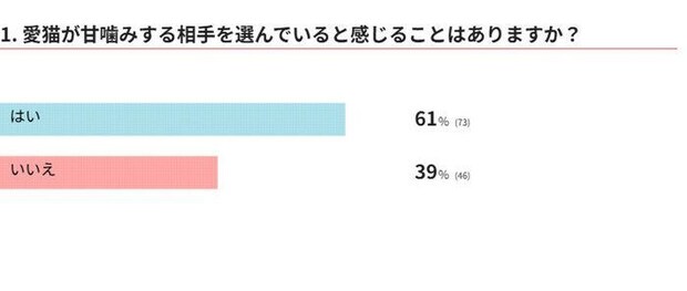 愛猫が甘噛みする相手を選んでいると感じることはありますか？