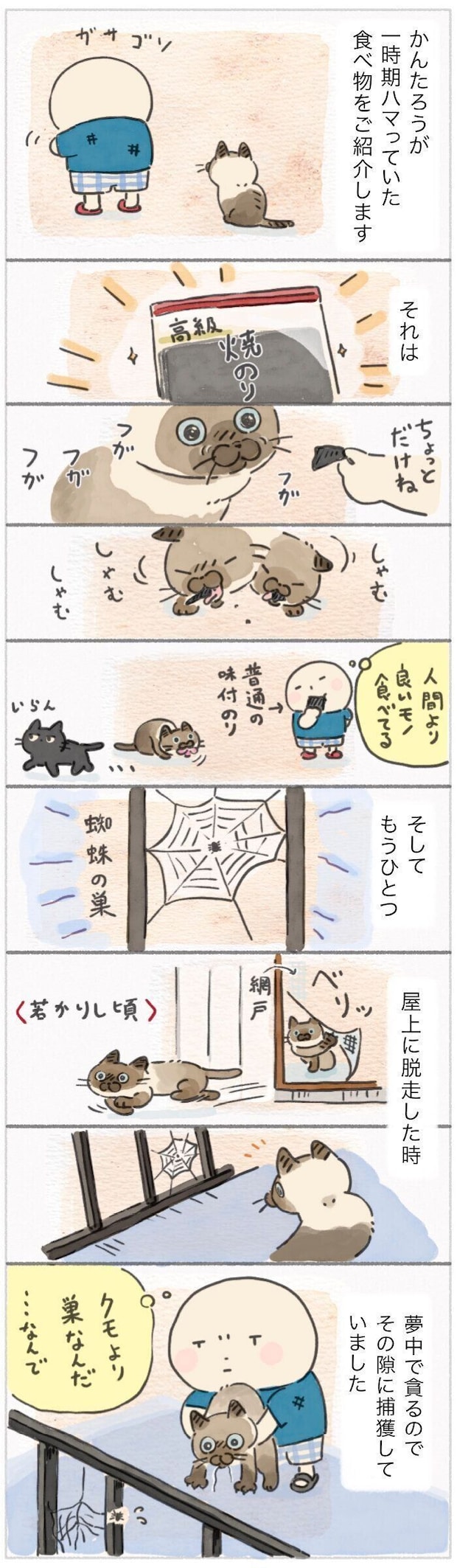 「ねこ連れ草」360話め