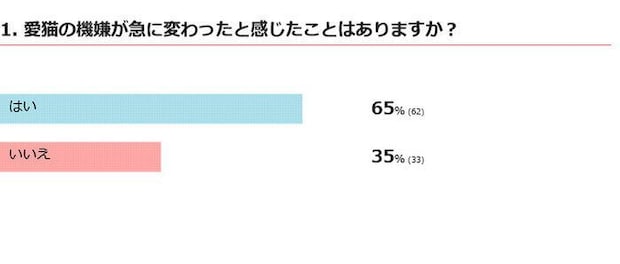 愛猫の機嫌が急に変わったことはある?