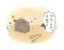 ノリノリだった猫の“急な塩対応”が刺さる【連載】交通事故にあった猫を拾いました#266