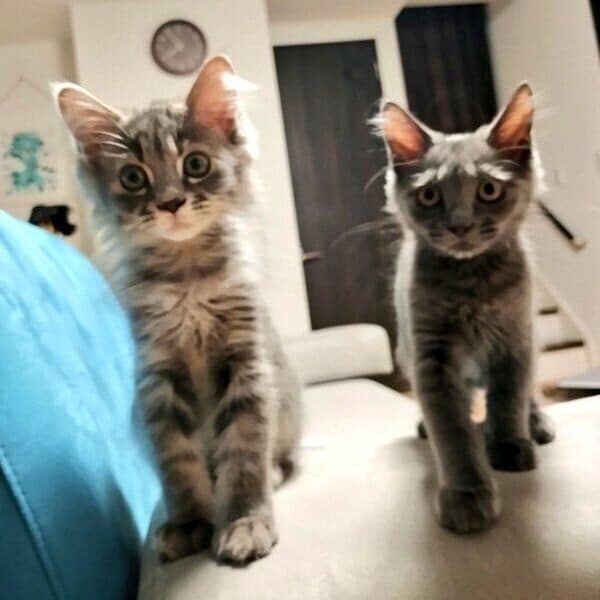 仲良し2ショットのロンくんとコトちゃん