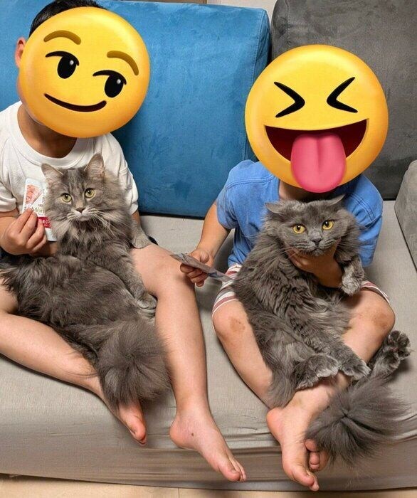「うちのコ記念日」に撮った子どもたちとの記念写真