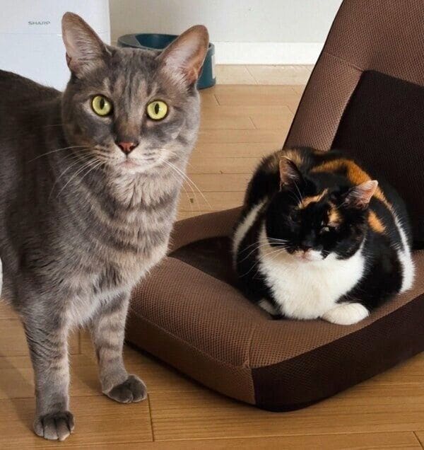 ちびくんとすーたんの2ショット