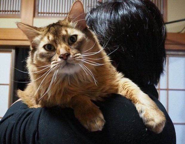 抱っこしてもらいながら“ドヤ顔”をする瑠偉くん