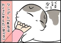 「食べない」が、こんなに気になるなんて【連載】もふもふスコたん#367